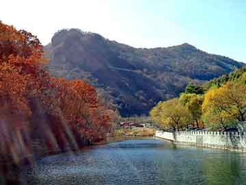 新澳天天开奖资料大全旅游团，百份百纯中药面膜粉